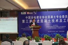 集团在中冶建设协会第三届交流大会上作主题报告